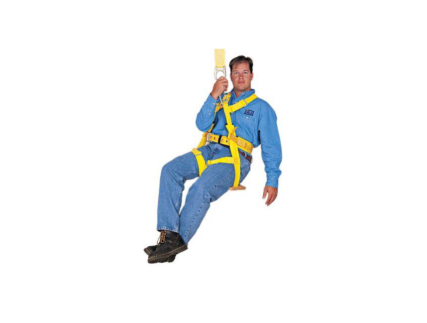 DBI-Sala 1001004 Full Body Seat Harness - Click Image to Close